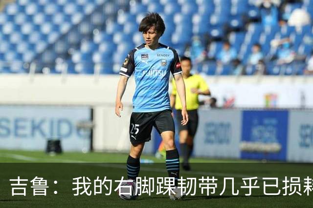吉鲁：我的右脚踝韧带几乎已损耗殆；马尔蒂尼就是自律的标杆