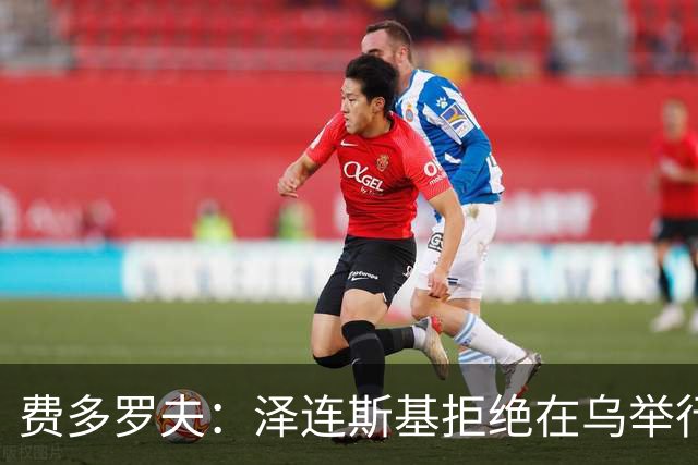 费多罗夫：泽连斯基拒绝在乌举行选举，是因为扎卢日内可能会参选